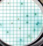 Membranas de filtración Membranas de filtración